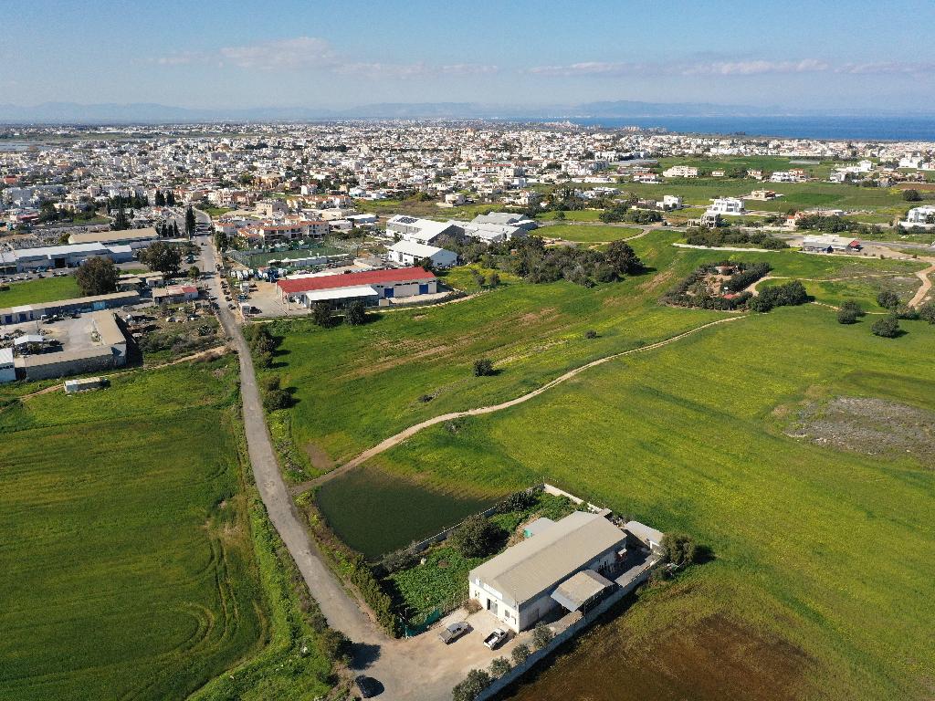 Field-Paralimni-PR36226
