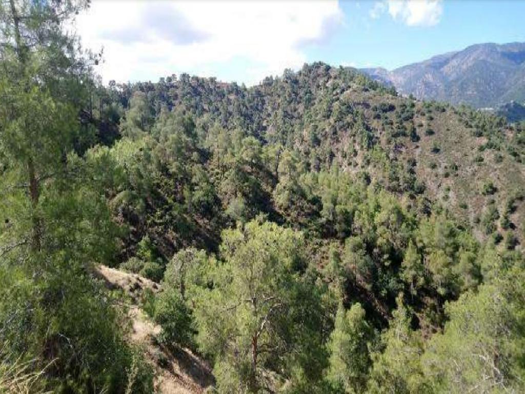 Field-Sina Oros-PR37301