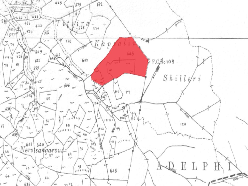 Field-Sina Oros-PR37301