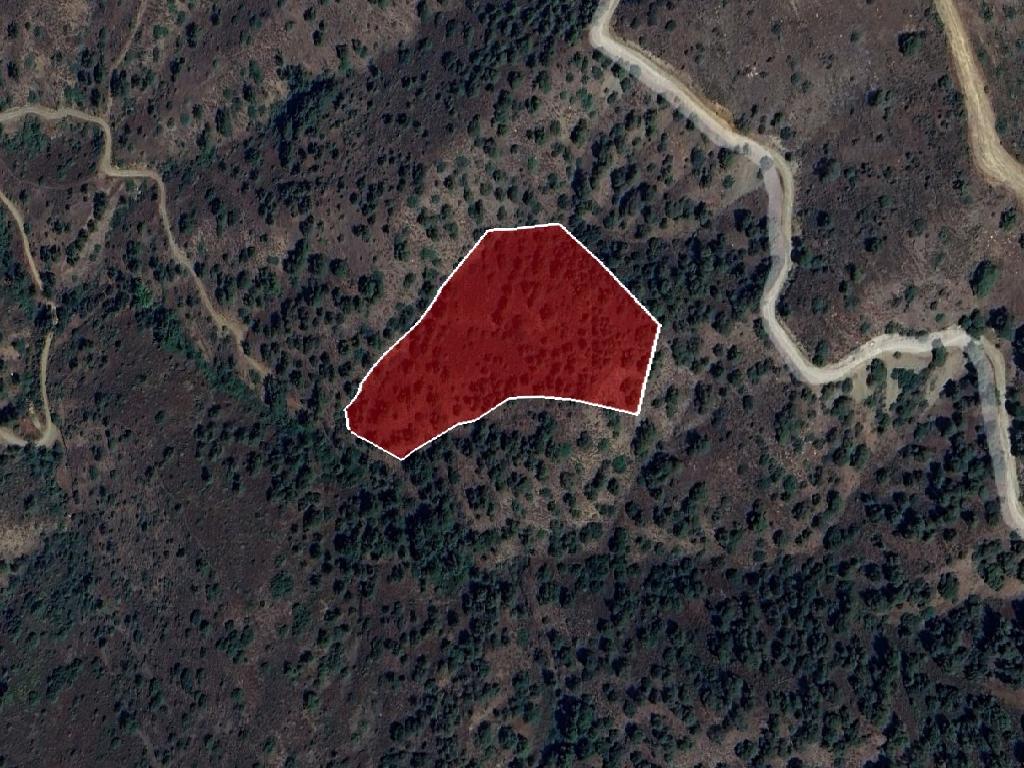 Field-Sina Oros-PR37301