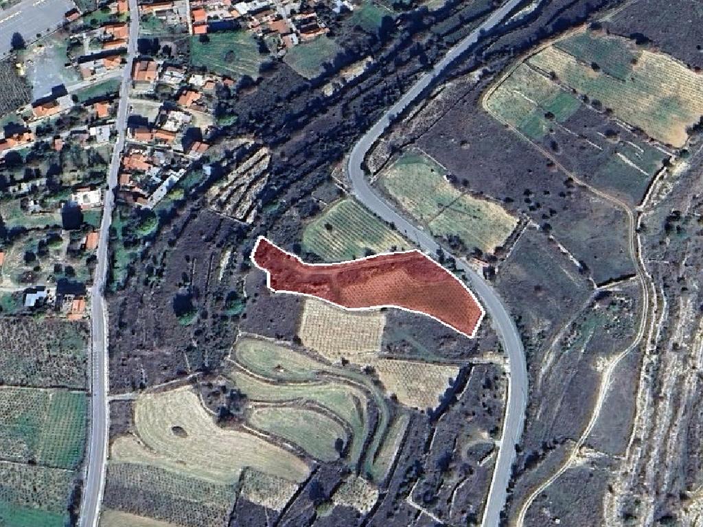 Field-Pachna-PR39521