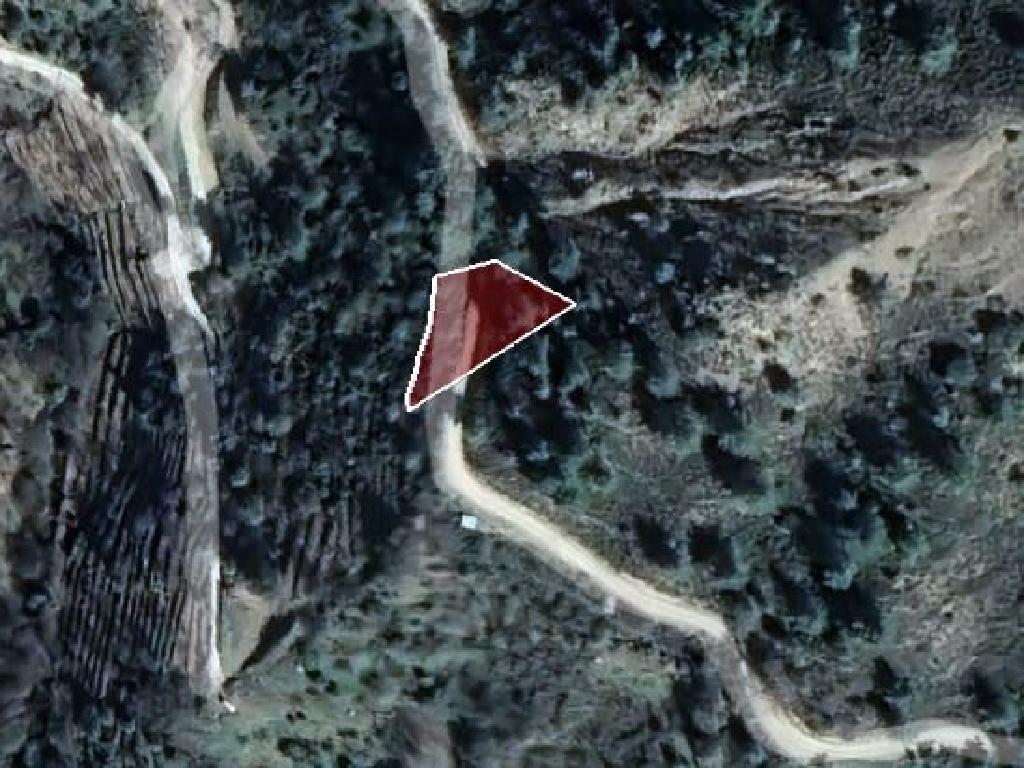 Field-Moutoullas-PR39735