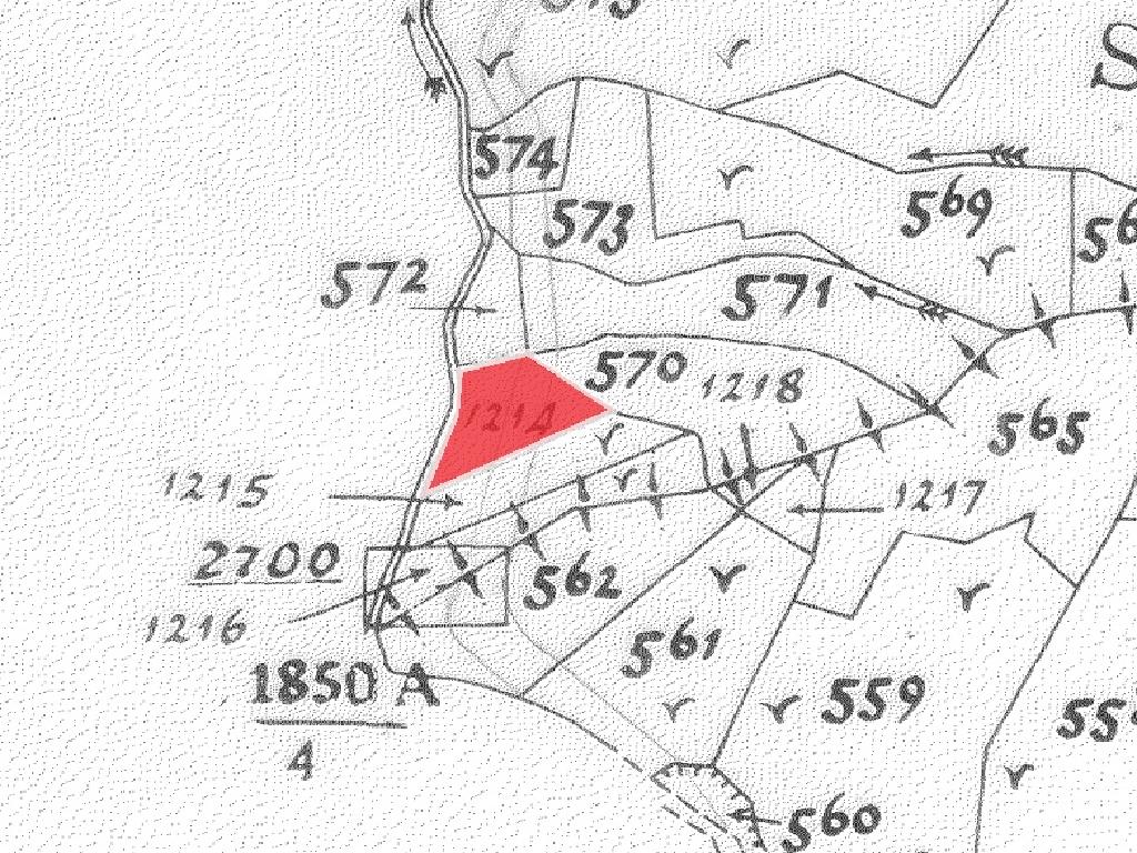 Field-Moutoullas-PR39735