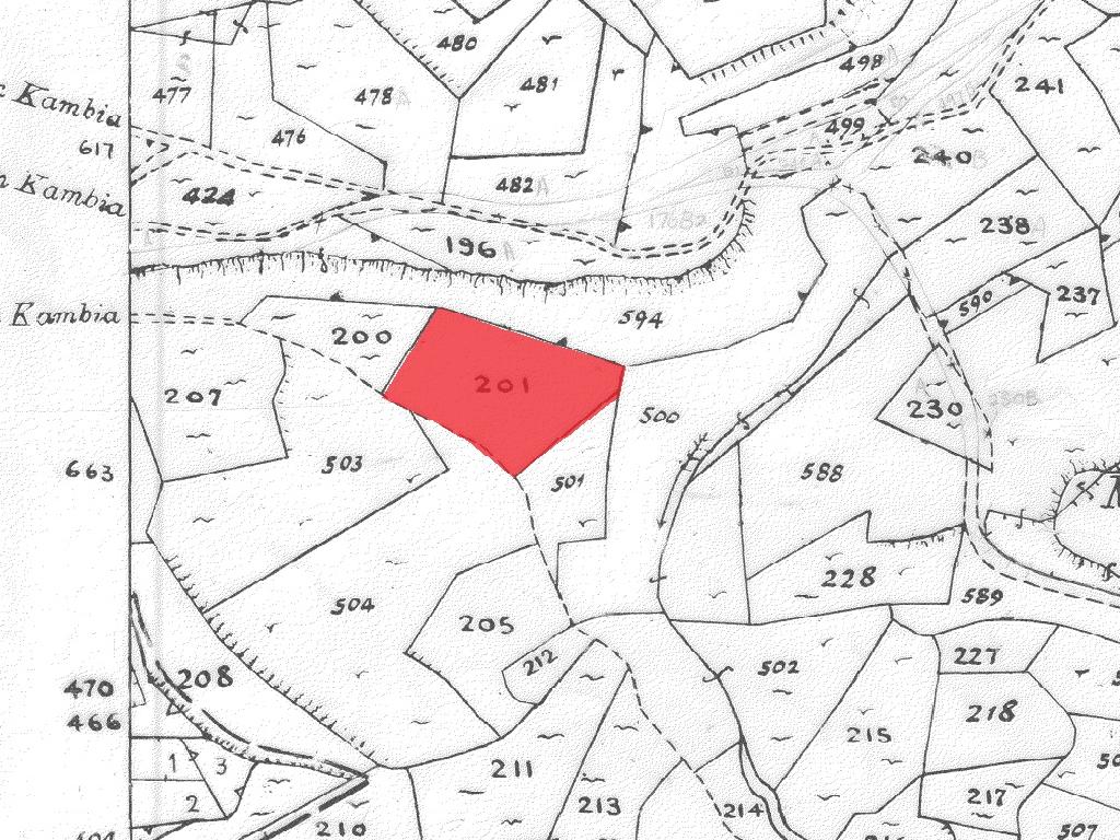 Field-Pera-PR39951