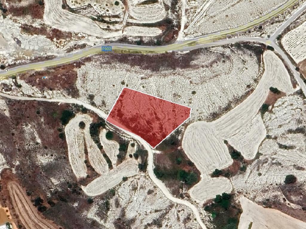 Field-Pera-PR39951