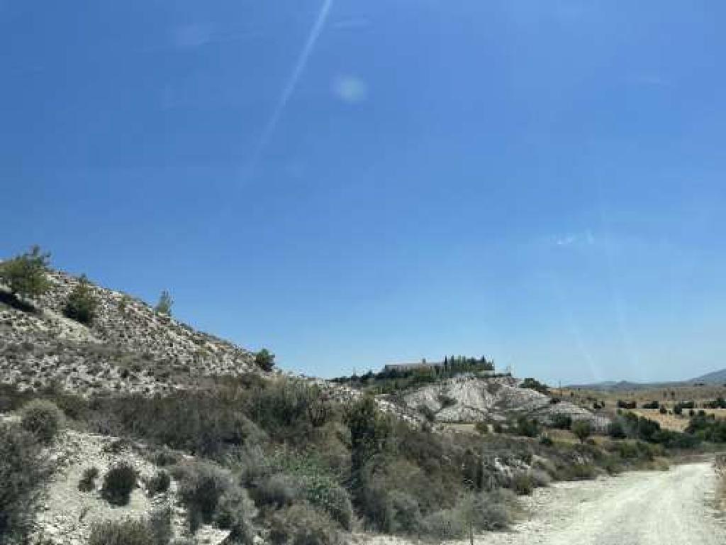 Field-Pera-PR39951