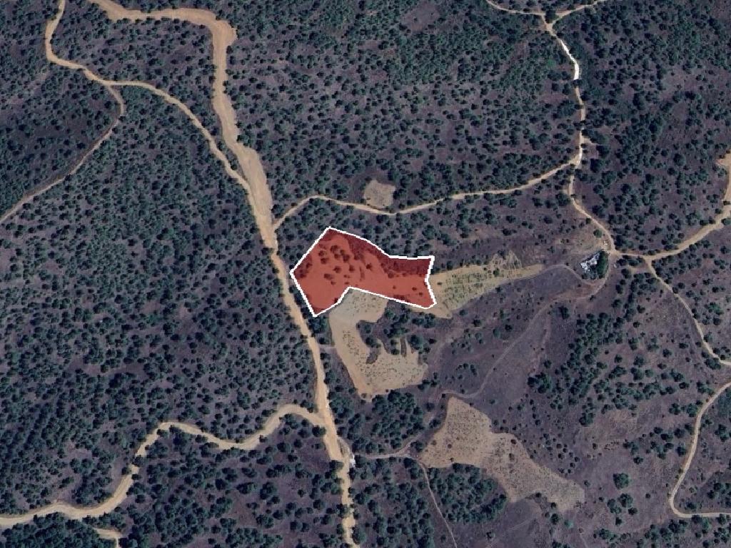 Field-Agios Epifanios (Oreinis)-PR40173