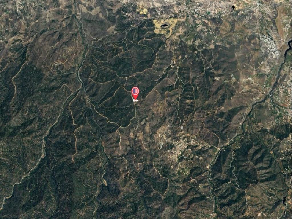 Field-Agios Epifanios (Oreinis)-PR40173