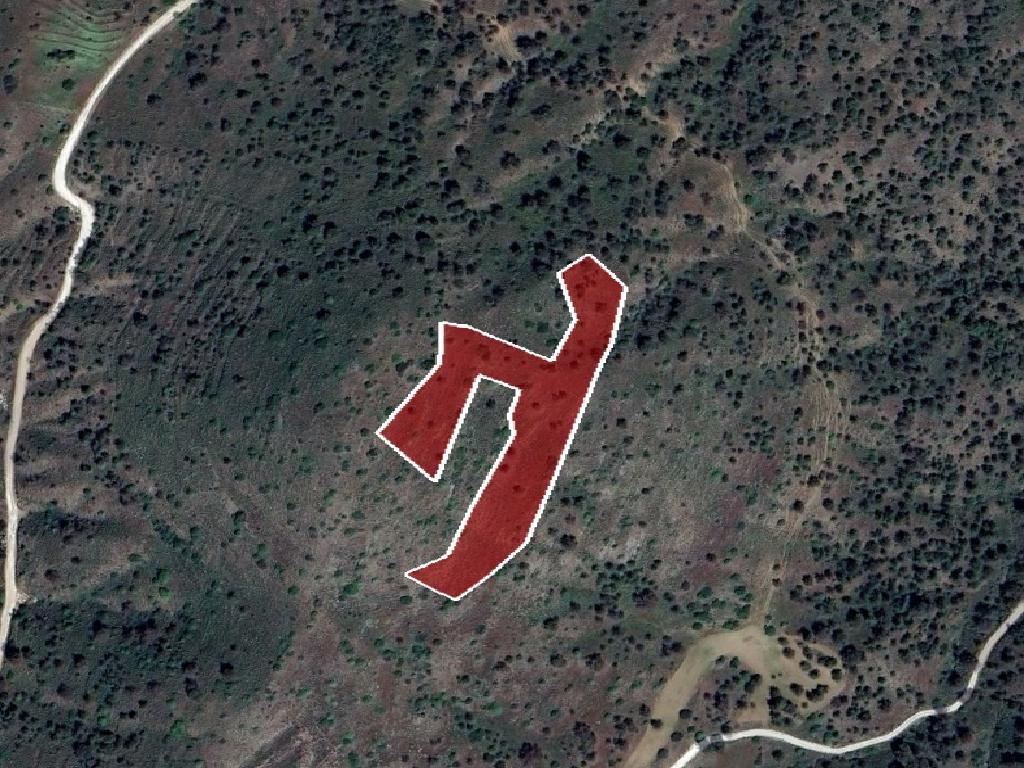 Field - Fikardou, Nicosia