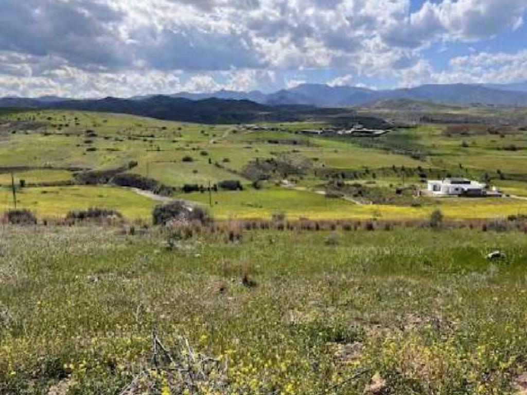Field - Potami, Nicosia