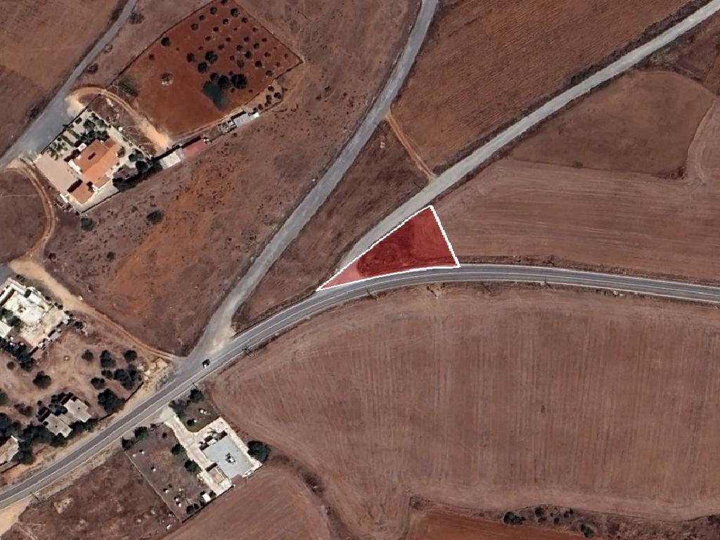 Field - Avgorou, Famagusta