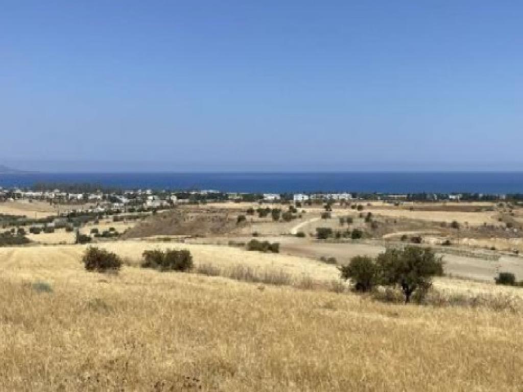 Field-Polis Chrysochous-PR42255