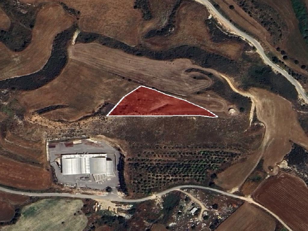 Field-Polis Chrysochous-PR42255