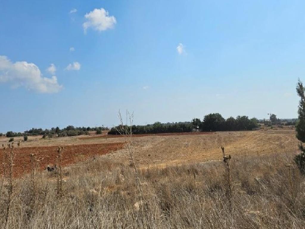 Field (Share) - Frenaros, Famagusta