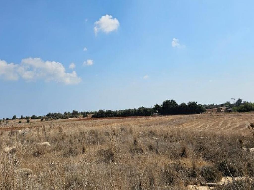 Field (Share) - Frenaros, Famagusta