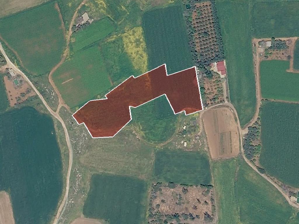 Field (Share) - Frenaros, Famagusta