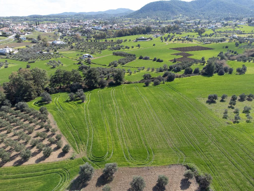 Field - Klirou, Nicosia