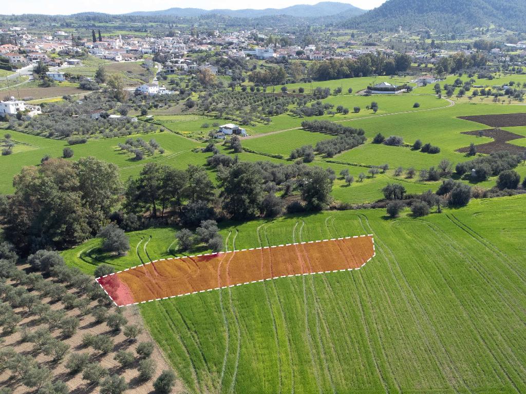 Field - Klirou, Nicosia