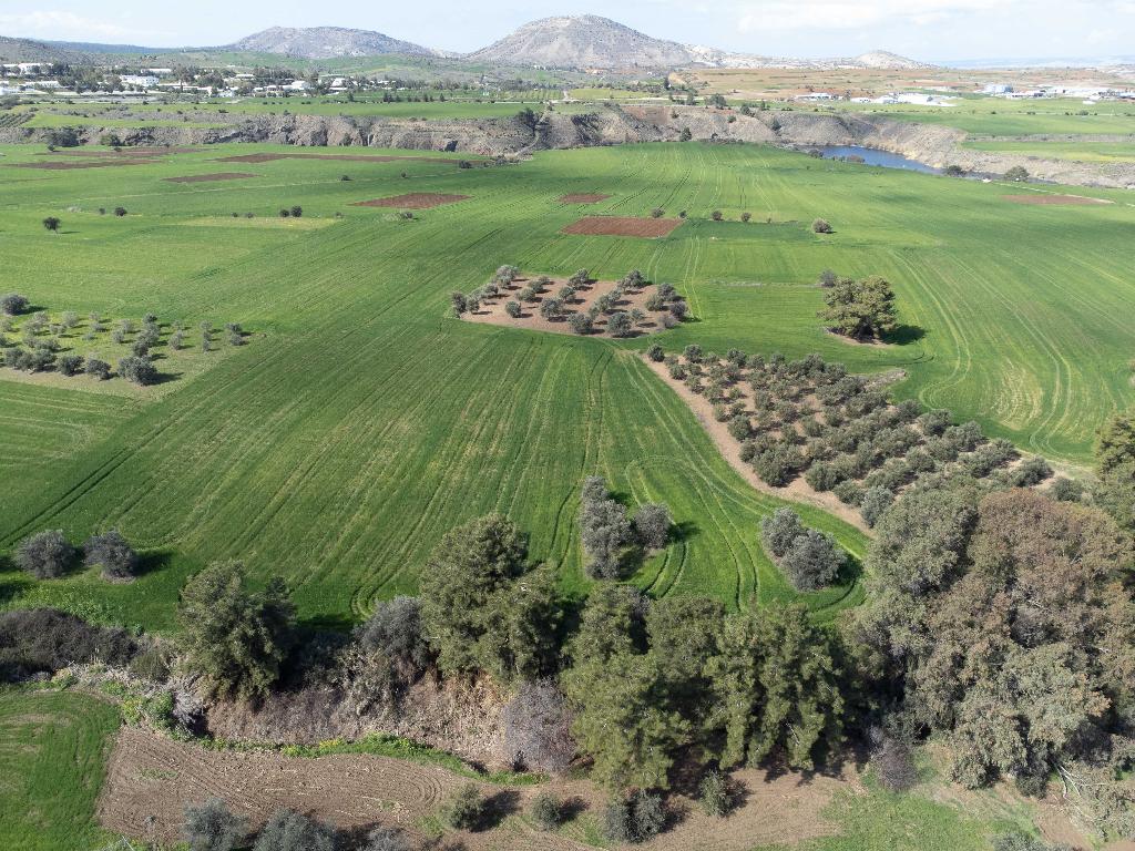 Field - Klirou, Nicosia