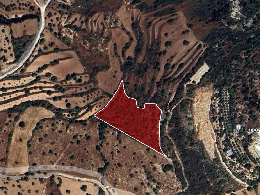 Field-Koili-PR32438