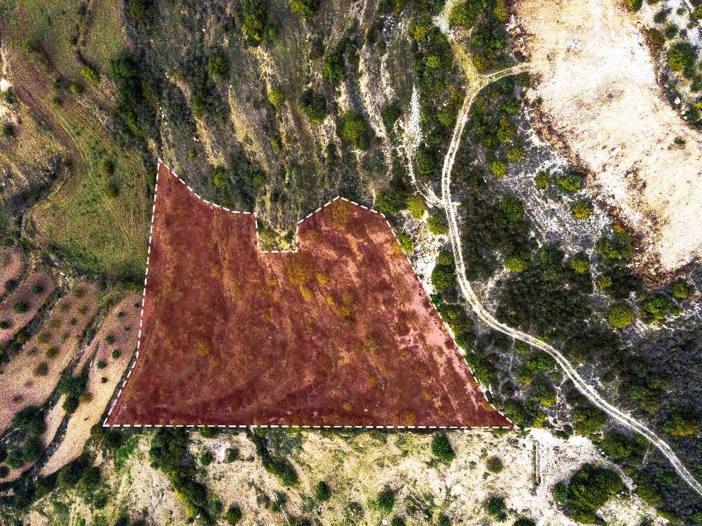 Field-Koili-PR32438