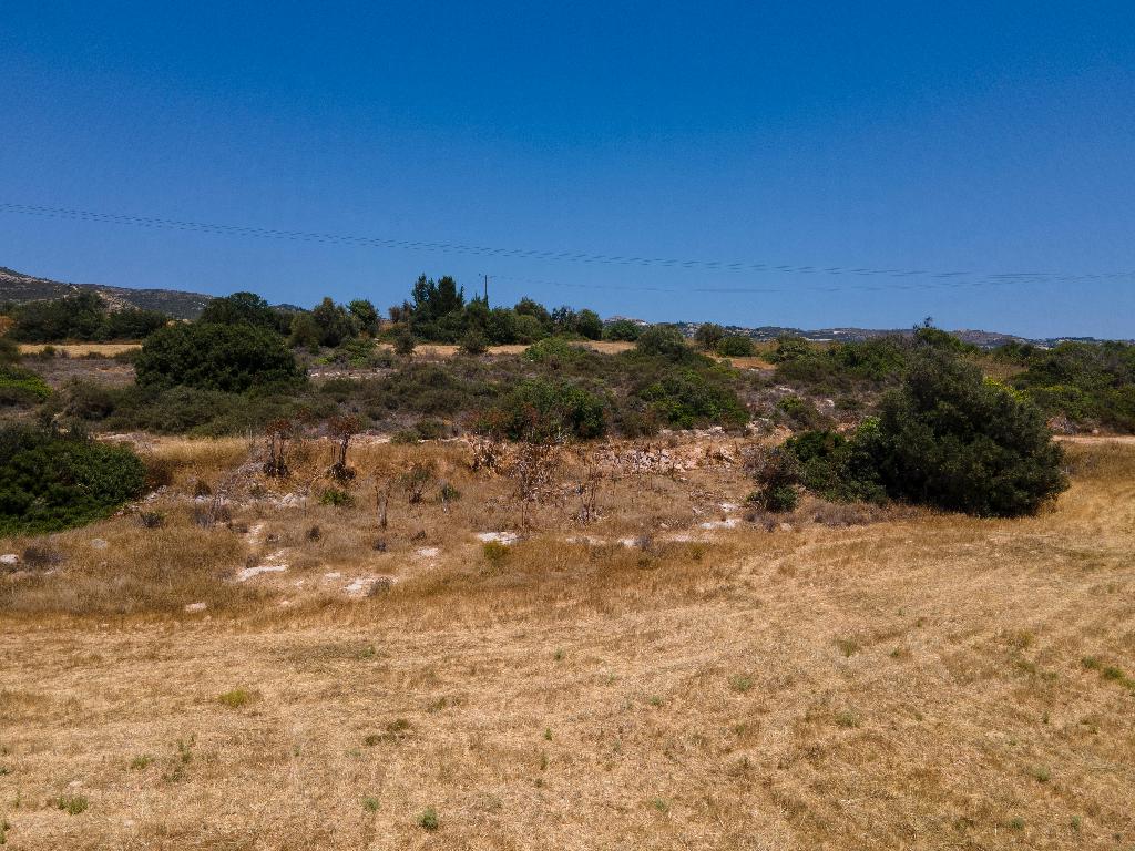 Field (Share) - Tremithousa, Paphos