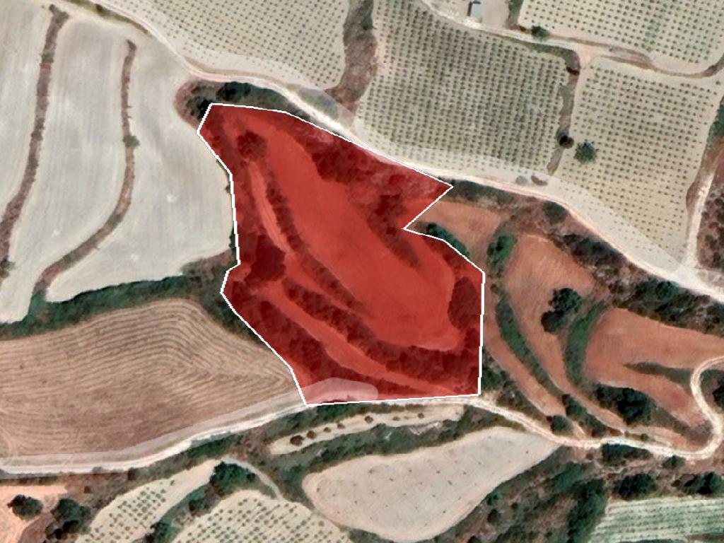 Field-Polemi-PR35111