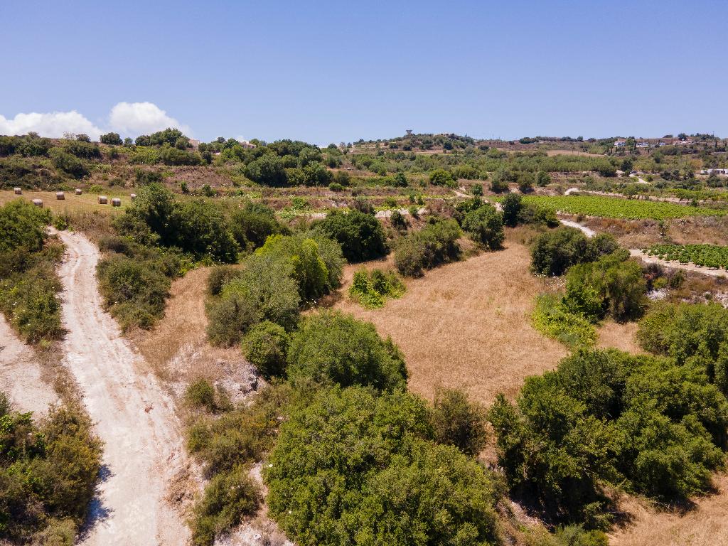 Field-Polemi-PR35111