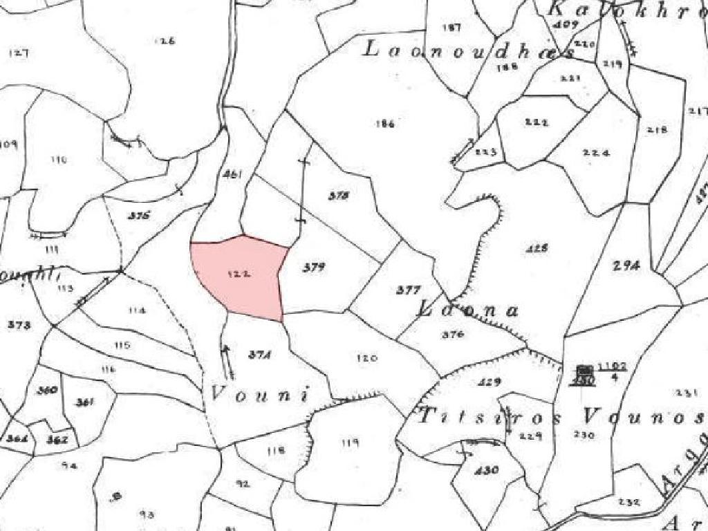 Field-New Chorio-PR35590