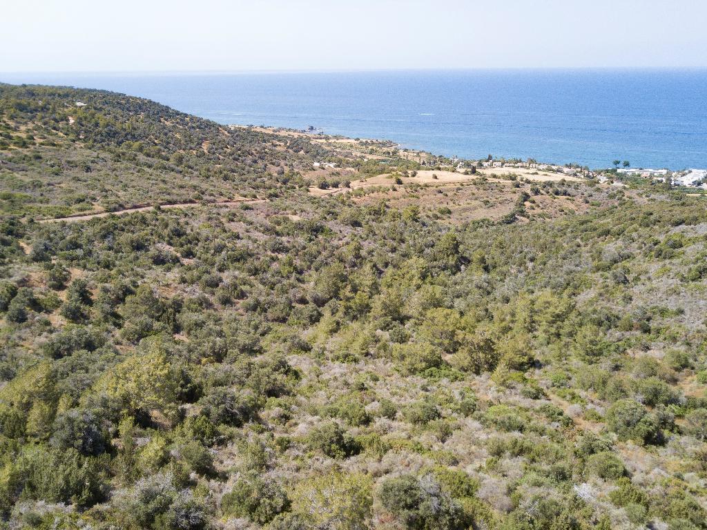Field - Neo Chorio, Paphos