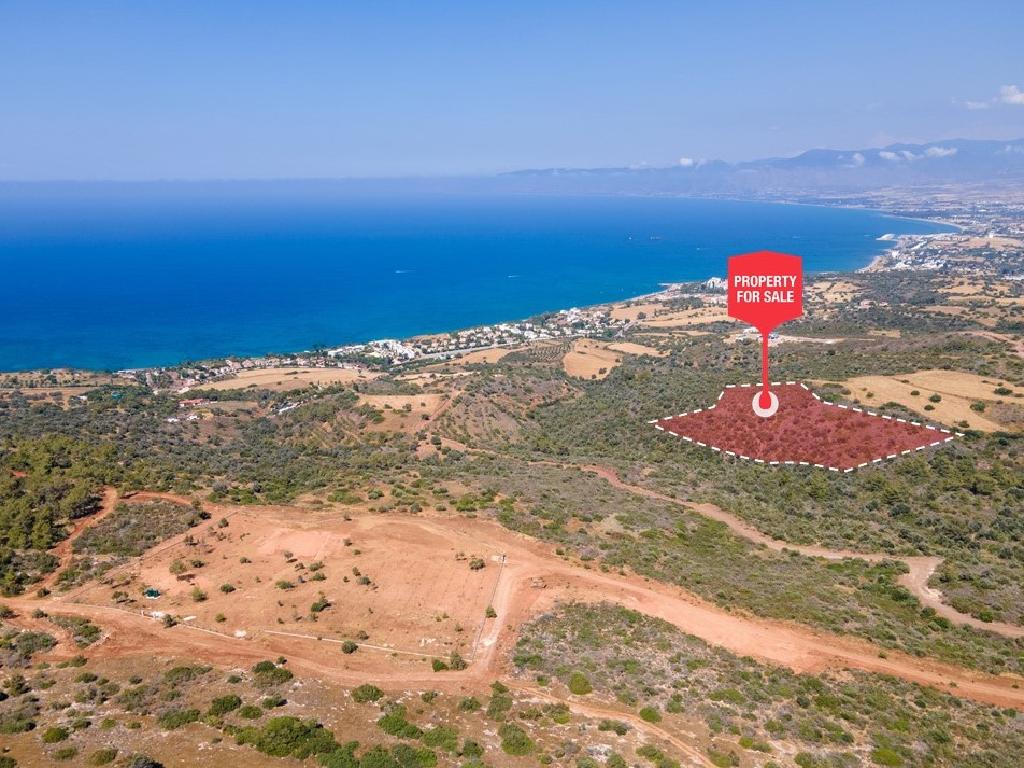 Field-New Chorio-PR35590