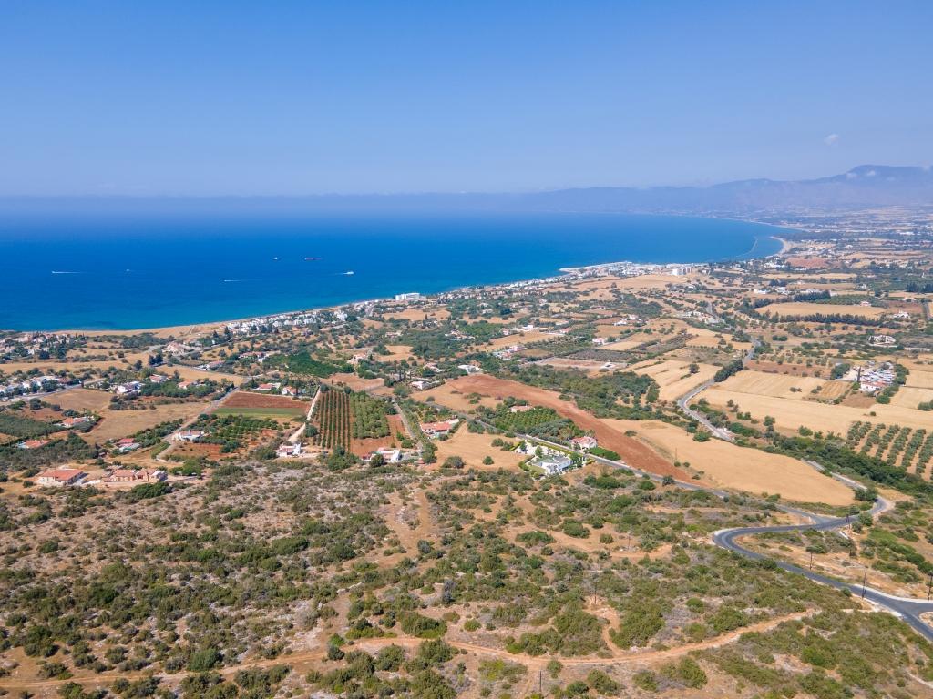 Field-New Chorio-PR35590