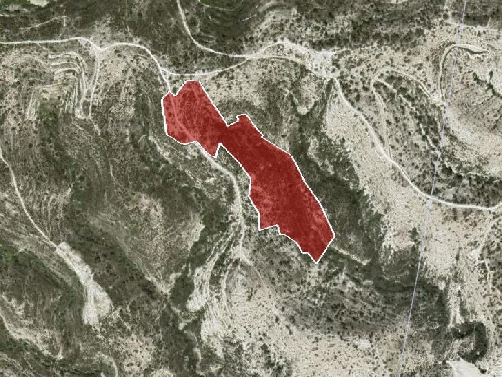 Field-Asgata-PR36042