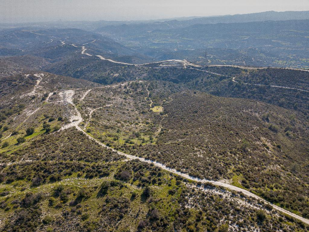 Field (Share) - Ora, Larnaca