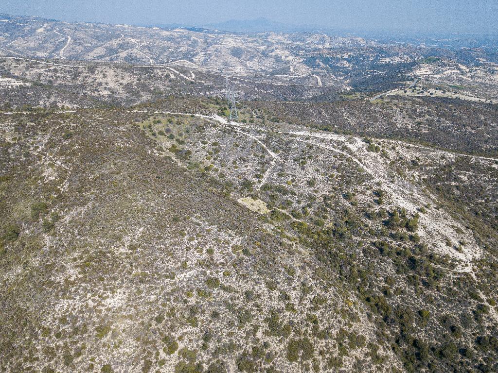 Field (Share) - Ora, Larnaca
