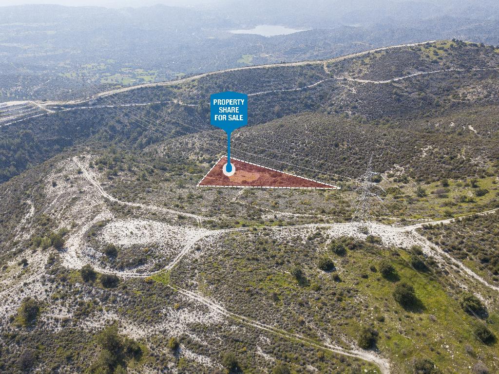Field (Share) - Ora, Larnaca