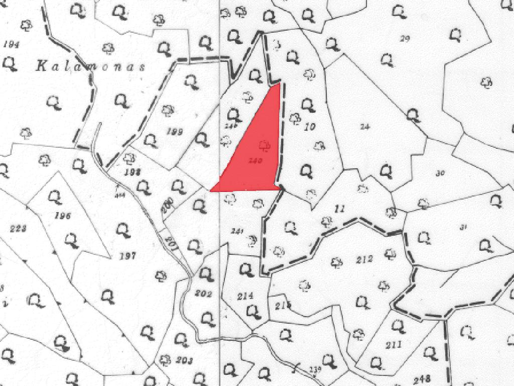 Field-Ora-PR37414