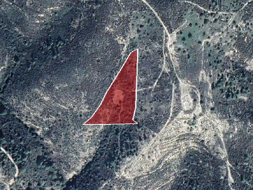 Field-Ora-PR37414