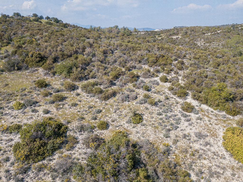Field (Share) - Ora, Larnaca