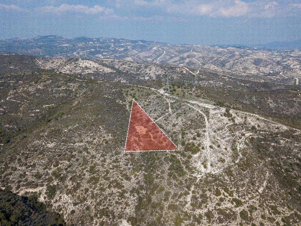 Field (Share) - Ora, Larnaca