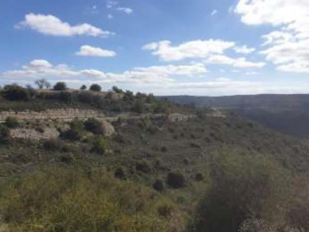 Field-Agios Therapon-PR39000