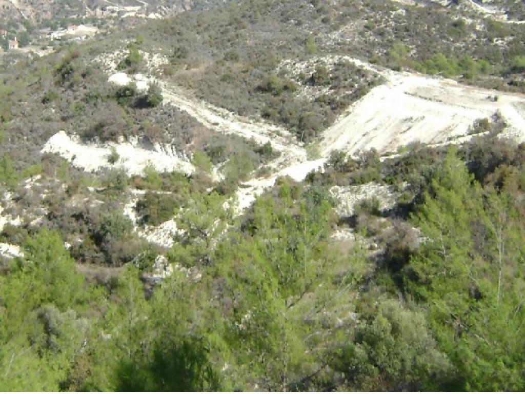 Field-Asgata-PR39361