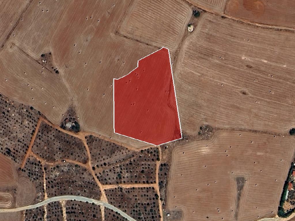 Field-Xylotimpou-PR39513