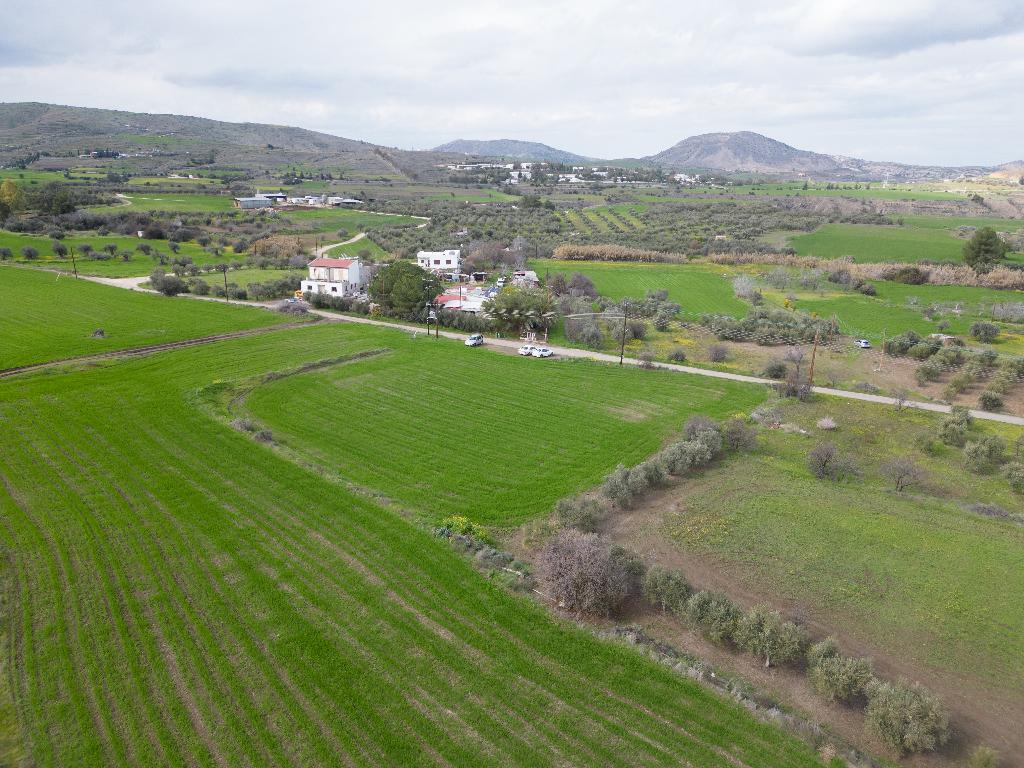 Field (Share) - Klirou, Nicosia