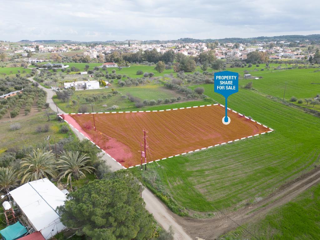 Field (Share) - Klirou, Nicosia