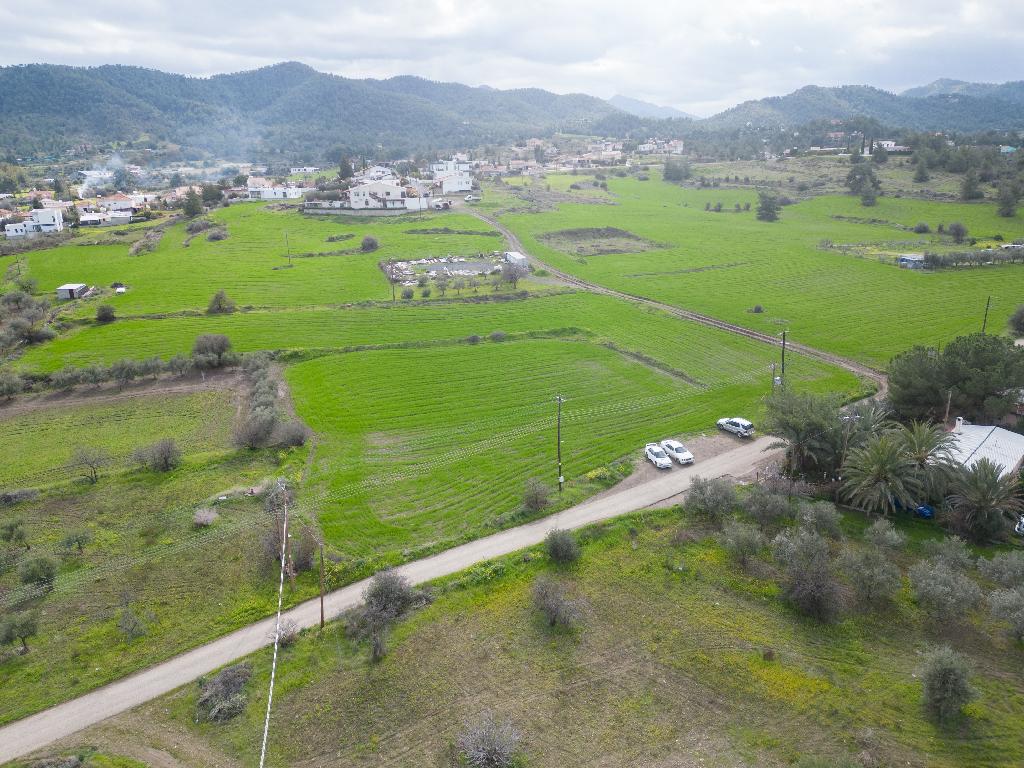 Field (Share) - Klirou, Nicosia
