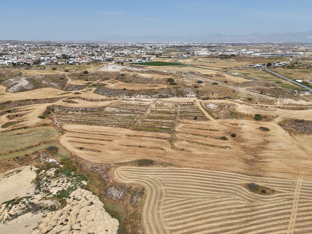 Field - Dali, Nicosia