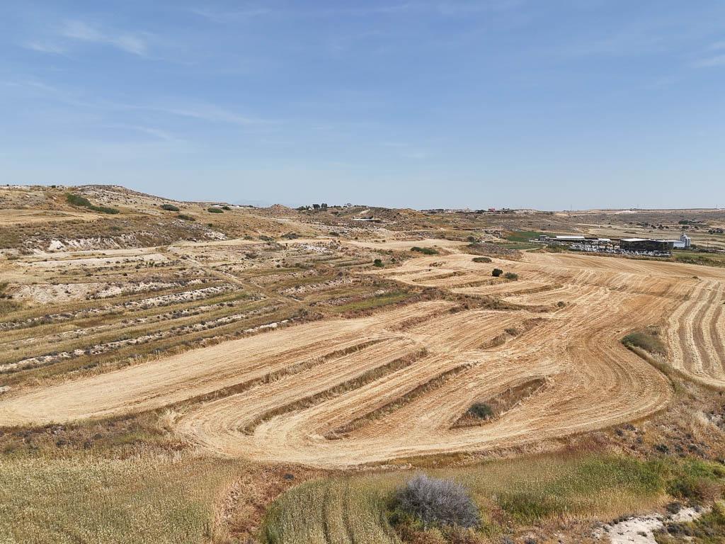 Field - Dali, Nicosia