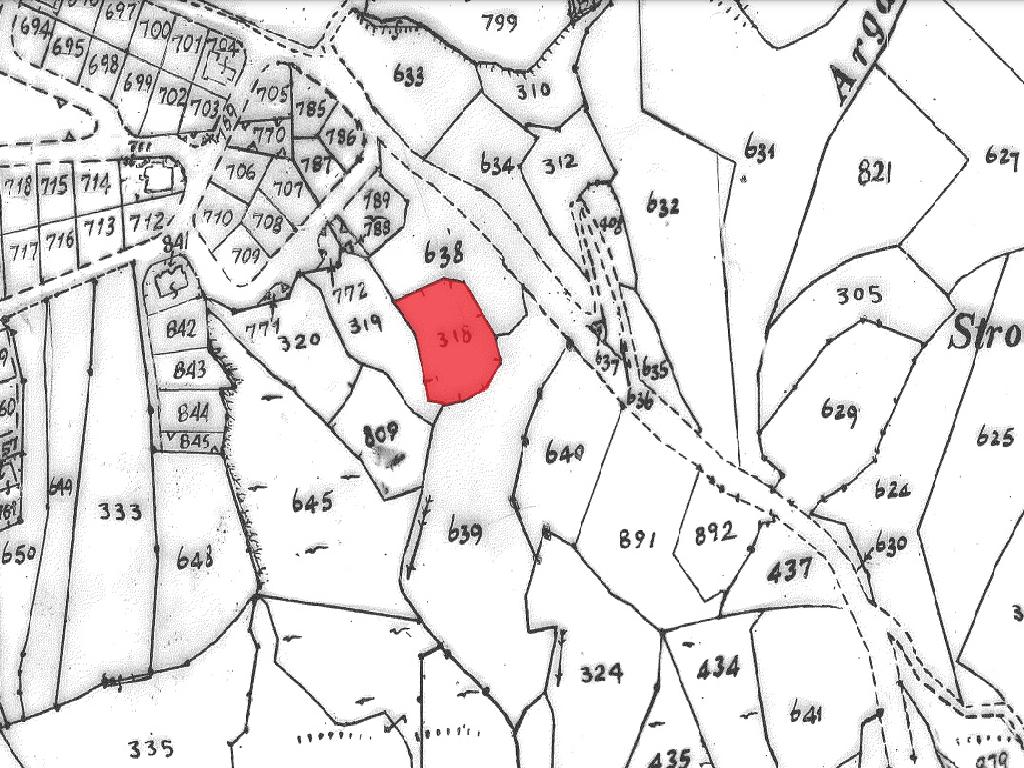 Field-Koili-PR40774