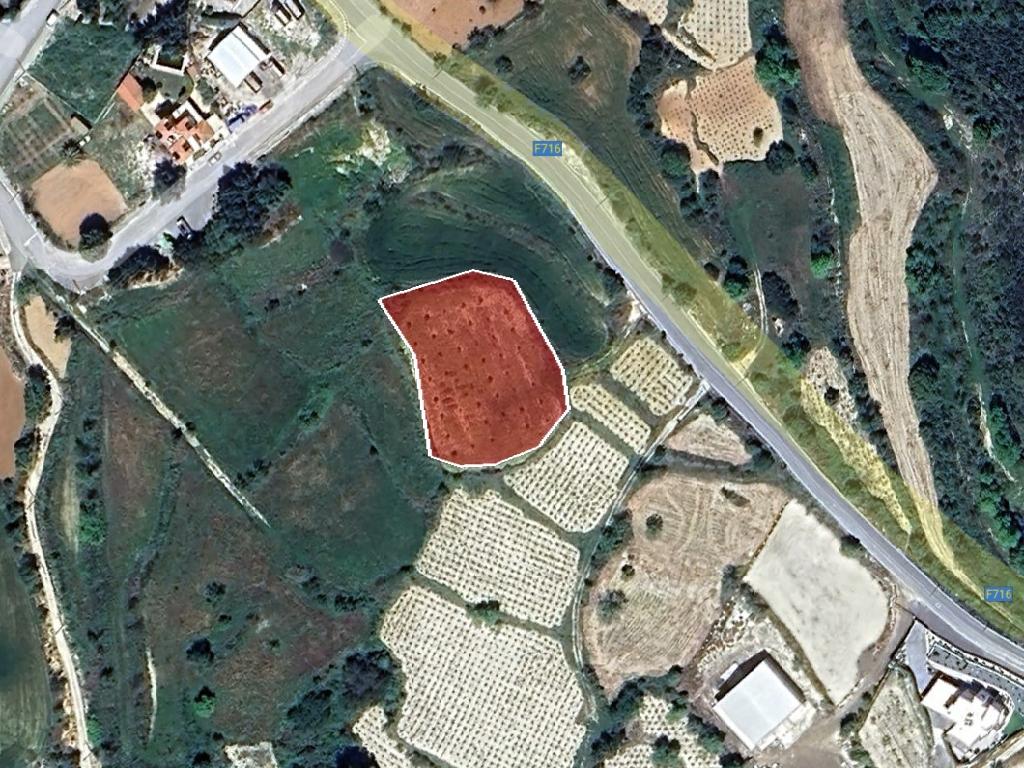 Field-Koili-PR40774